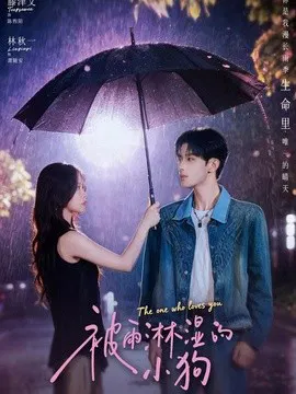 【短剧】被雨淋湿的小狗